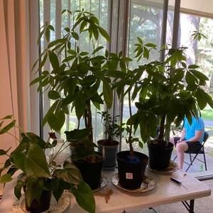 Meet your Posher, Miguel